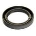 Engine Crankshaft Seal DT Components 223520