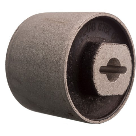 Suspension Trailing Arm Bushing RareParts 22860