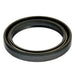 Steering Gear Pitman Shaft Seal DT Components 251511