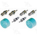 A/C System Valve Core and Cap Kit Four Seasons 26862