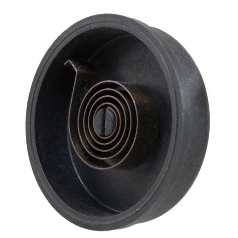 Carburetor Choke Thermostat WVE 2C1006