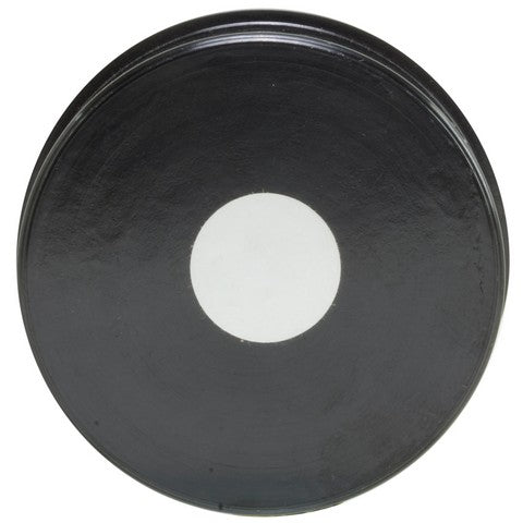 Carburetor Choke Thermostat WVE 2C1009