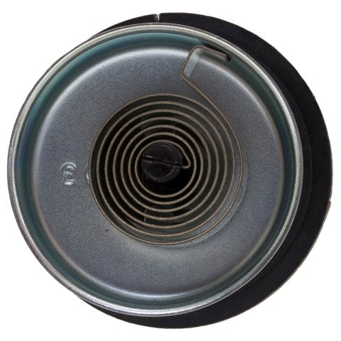 Carburetor Choke Thermostat WVE 2C1037