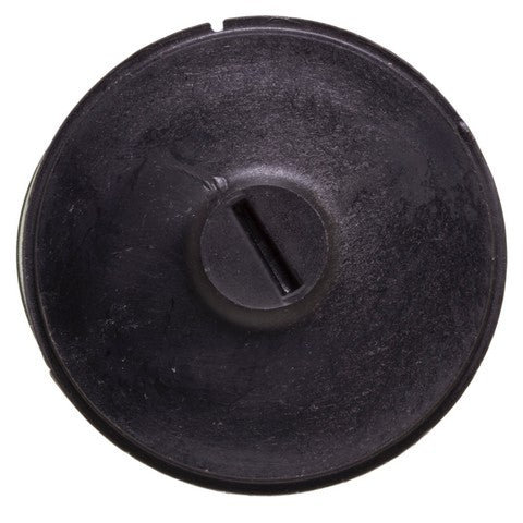 Carburetor Choke Thermostat WVE 2C1037