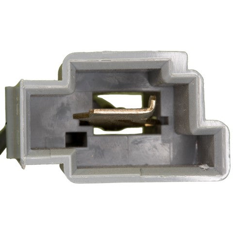 Carburetor Choke Thermostat WVE 2C1053