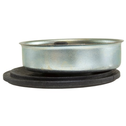 Carburetor Choke Thermostat WVE 2C1084