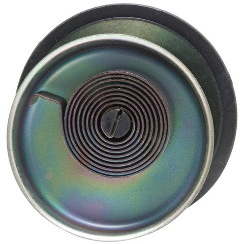 Carburetor Choke Thermostat WVE 2C1101