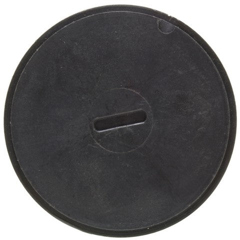 Carburetor Choke Thermostat WVE 2C1101