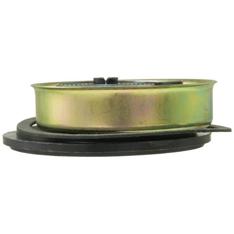 Carburetor Choke Thermostat WVE 2C1102