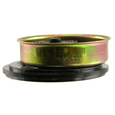 Carburetor Choke Thermostat WVE 2C1103