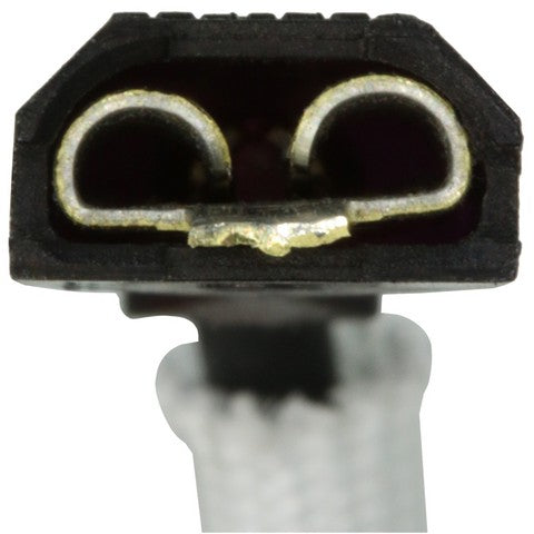 Carburetor Choke Thermostat WVE 2C1112