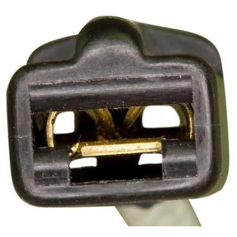 Carburetor Choke Thermostat WVE 2C1115