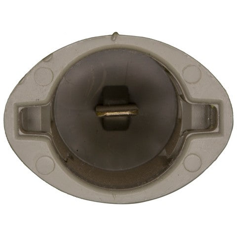 Carburetor Choke Thermostat WVE 2C1168