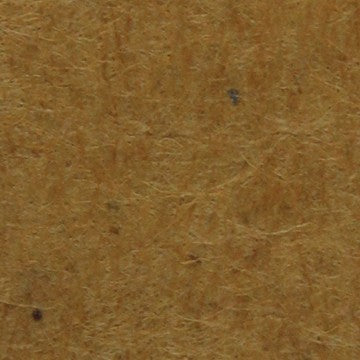 Carburetor Choke Thermostat WVE 2C1186