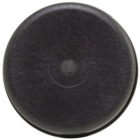 Carburetor Choke Thermostat WVE 2C1187