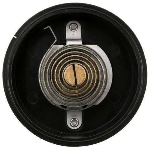 Carburetor Choke Thermostat WVE 2C1189