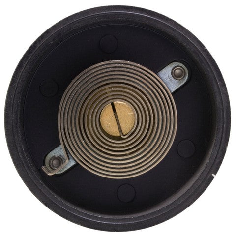 Carburetor Choke Thermostat WVE 2C1211