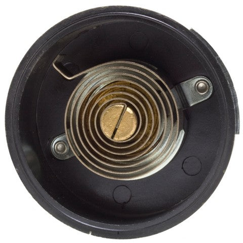 Carburetor Choke Thermostat WVE 2C1238