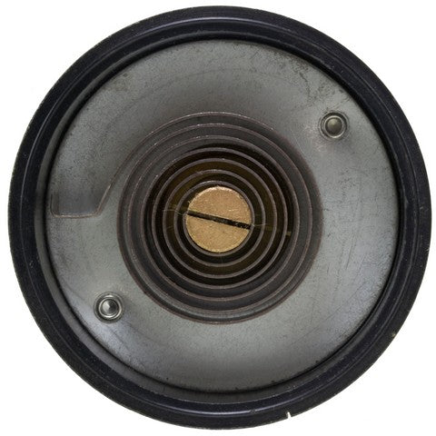 Carburetor Choke Thermostat WVE 2C1239