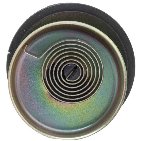 Carburetor Choke Thermostat WVE 2C1257