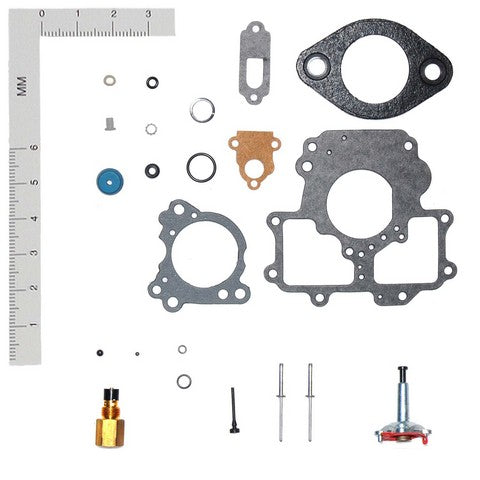 Carburetor Repair Kit WVE 2G1906