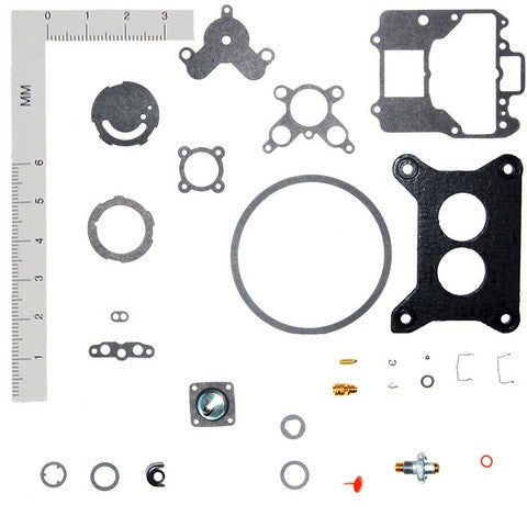 Carburetor Repair Kit WVE 2G2101