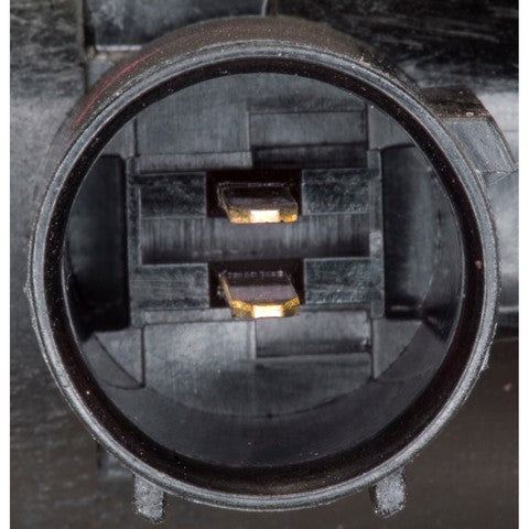 Idle Air Control Valve WVE 2H1125