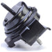 Engine Mount Anchor 3160