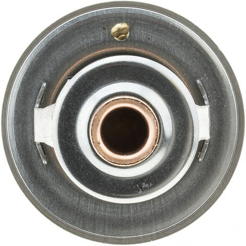 Engine Coolant Thermostat MotoRad 319-170