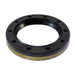 Engine Crankshaft Seal DT Components 320259