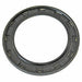 Steering Gear Pinion Shaft Seal DT Components 340413