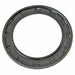 Automatic Transmission Shift Shaft Seal DT Components 340847