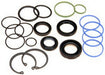 Rack and Pinion Seal Kit Gates 349160