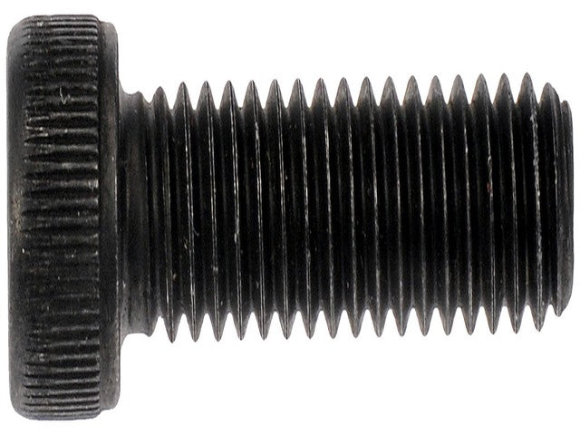 Screw Dorman 382-010BX