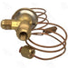 A/C Expansion Valve Four Seasons 38723
