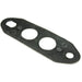 Exhaust Gas Recirculation (EGR) Valve Gasket WVE 3F1035