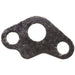 Exhaust Gas Recirculation (EGR) Valve Gasket WVE 3F1076