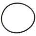 Exhaust Gas Recirculation (EGR) Valve Gasket WVE 3F1272