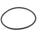 Exhaust Gas Recirculation (EGR) Valve Gasket WVE 3F1272