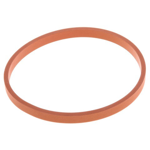 Exhaust Gas Recirculation (EGR) Valve Gasket WVE 3F1274