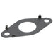 Exhaust Gas Recirculation (EGR) Valve Gasket WVE 3F1278