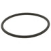 Exhaust Gas Recirculation (EGR) Valve Gasket WVE 3F1289