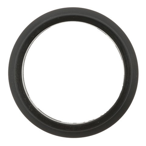 Exhaust Gas Recirculation (EGR) Valve Gasket WVE 3F1291