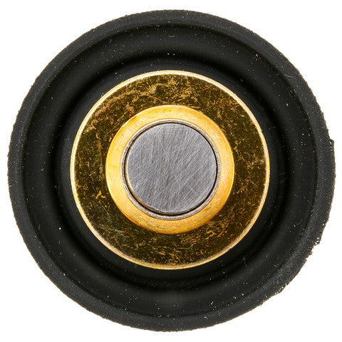 Fuel Injection Pressure Regulator WVE 3G1094