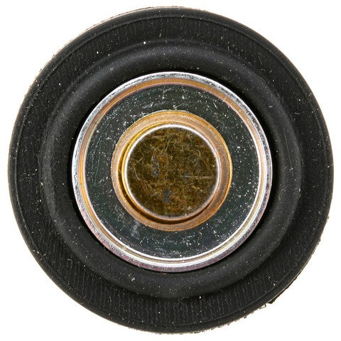 Fuel Injection Pressure Regulator WVE 3G1094