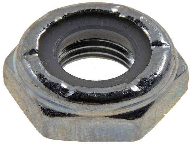 Nut Dorman 250-010BX