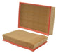 Engine Air Filter Wix Filters 46113