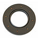 Drive Axle Shaft Seal DT Components 483793