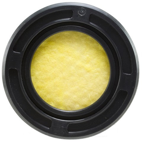 Vapor Canister WVE 4B1257