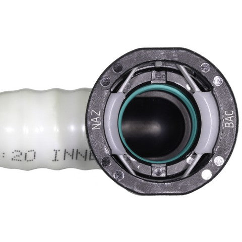 Vapor Canister WVE 4B1697